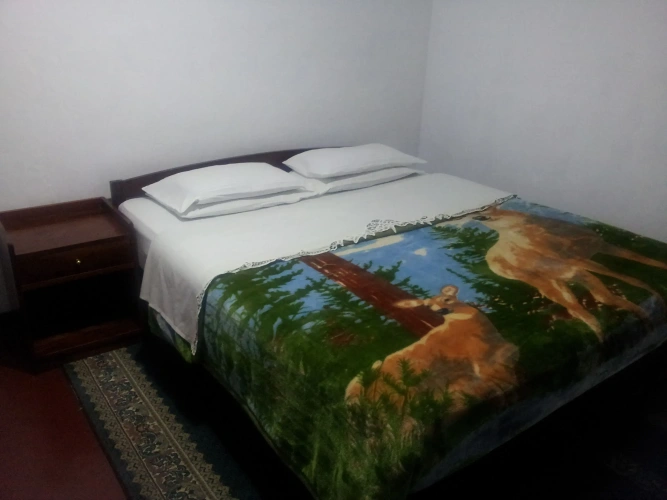 Standard Double Basement room
