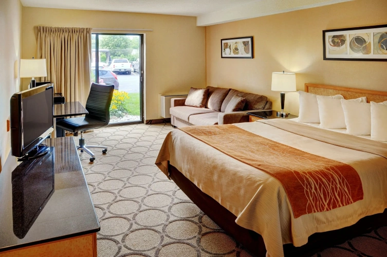 Standard Double Basement room