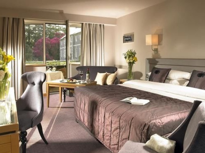 Deluxe Double room with view