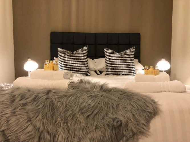 1 Bedroom Apartment