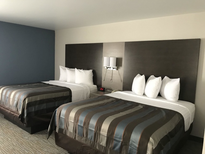 1 Bedroom Quadruple Suite