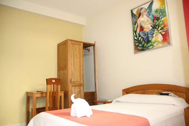 Standard Single room with view