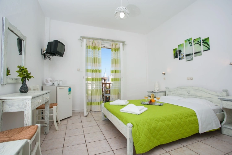 Standard Double room with balcony and with garden view