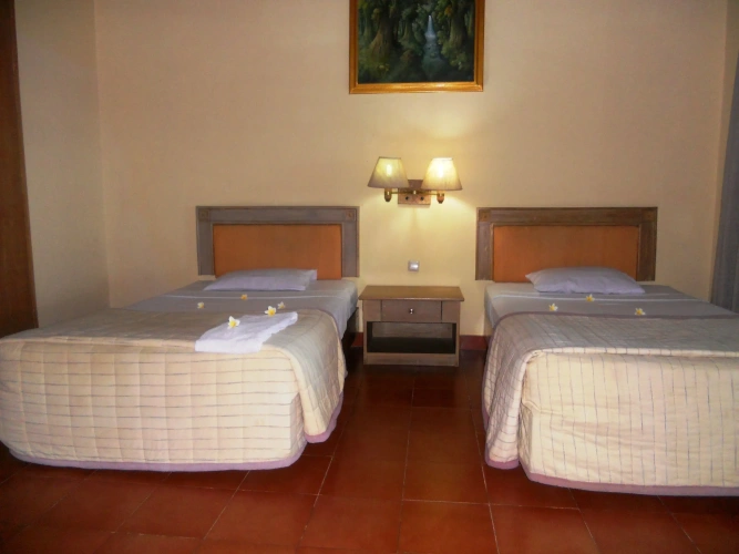 Standard Double room with balcony and with view