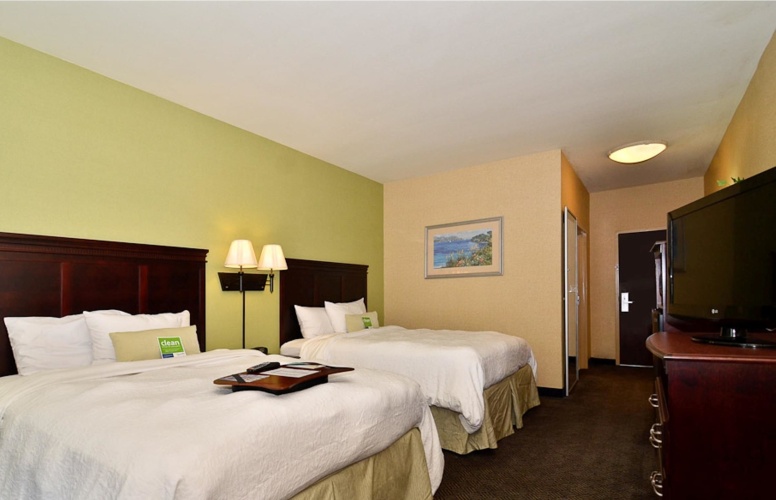 Standard Quadruple room