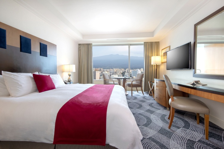 Standard Double room with mountain view
