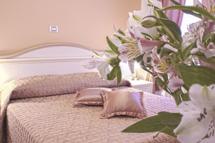 Standard Double room with garden view