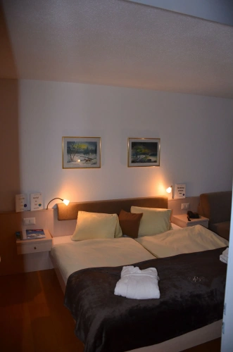Standard Double room with balcony and with mountain view