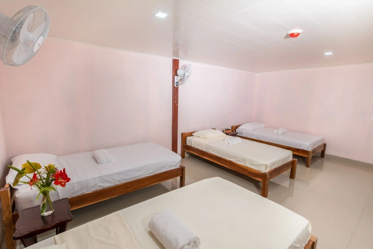 Bed in Dorm