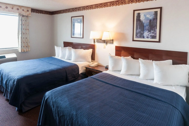 Quadruple Suite