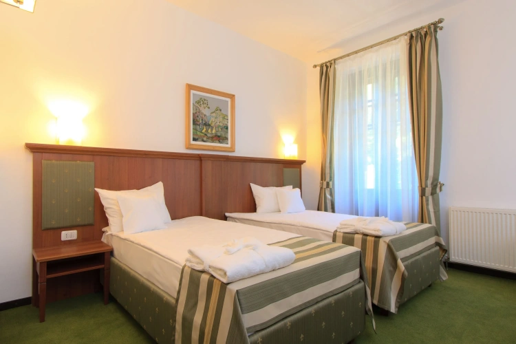Business Twin room