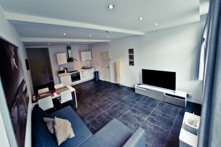 1 Bedroom Standard Apartment with city view