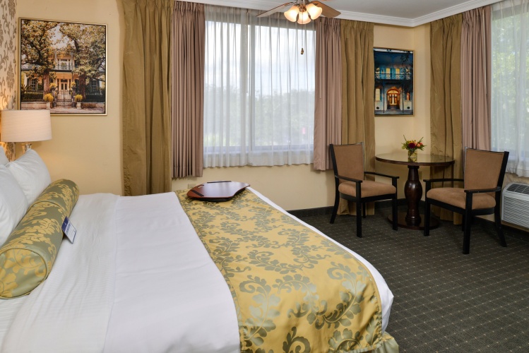 Standard Double room with city view
