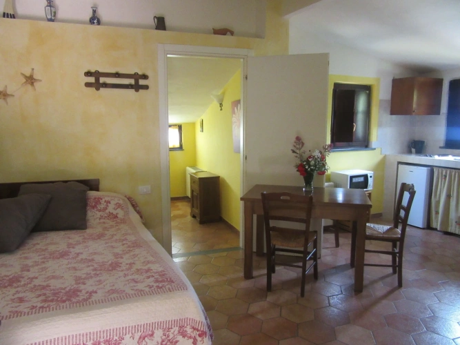 1 Bedroom Apartment