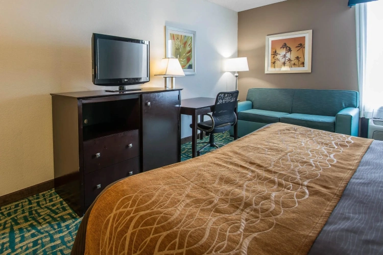 Standard Double room