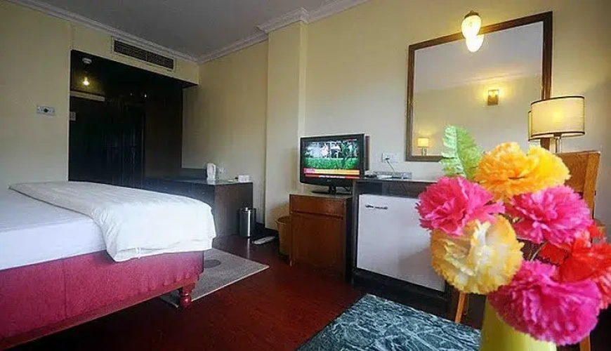 Deluxe Double room with city view