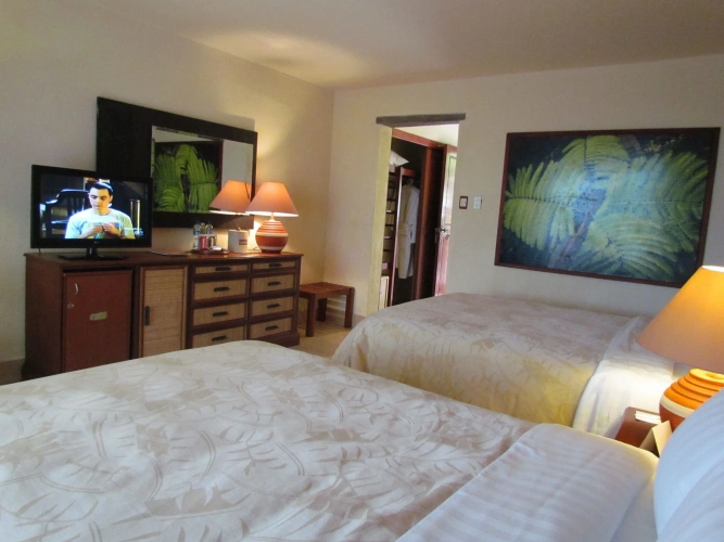 Standard Double room with balcony and with view