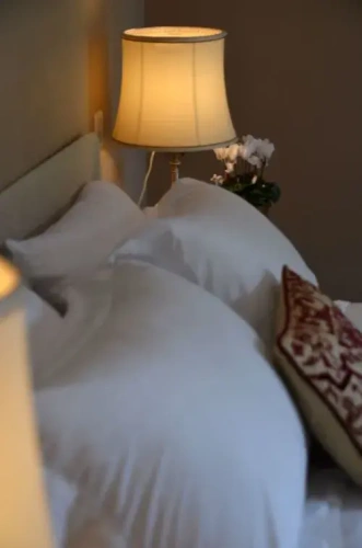 Executive Double Suite