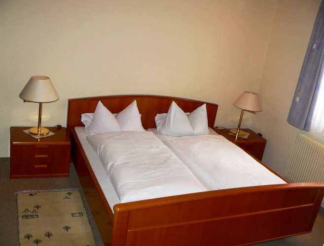Classic Single room with balcony and with mountain view