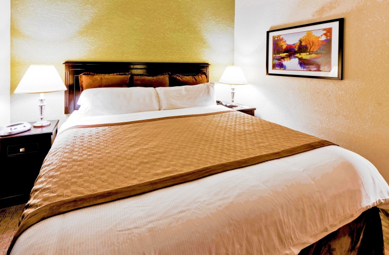 1 Bedroom Double Suite