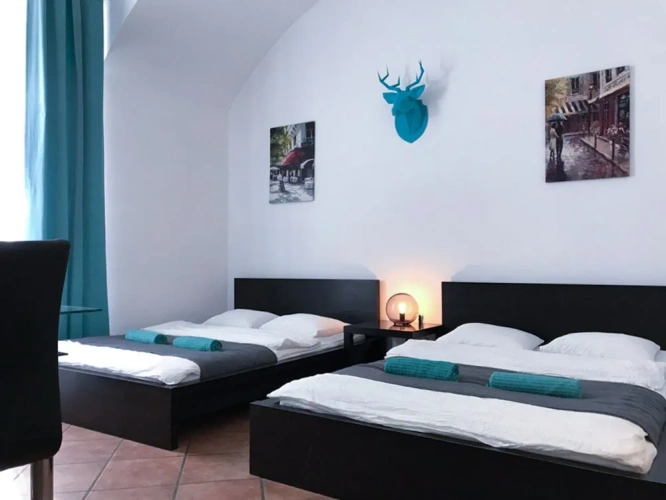 Comfort Quadruple Apartment