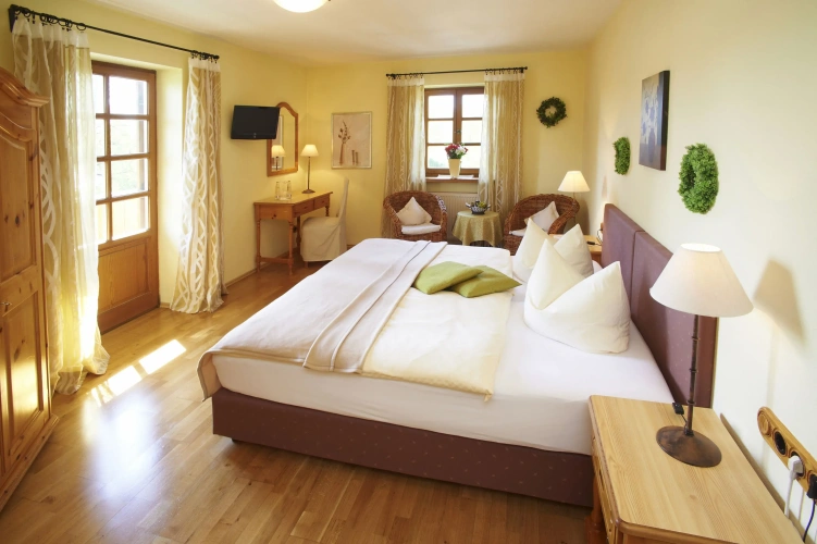 Standard Double room with balcony and with view