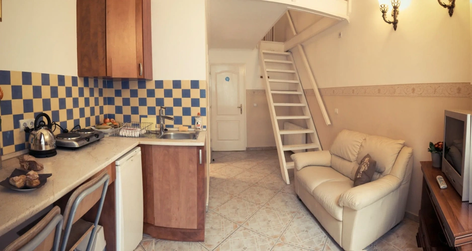 1 Bedroom Standard Apartment