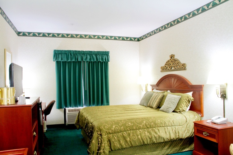 Standard Double Suite