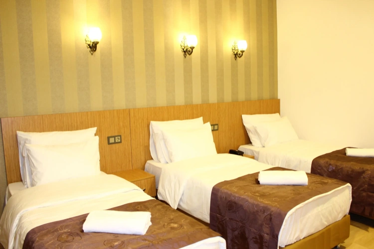 Standard Triple room with city view