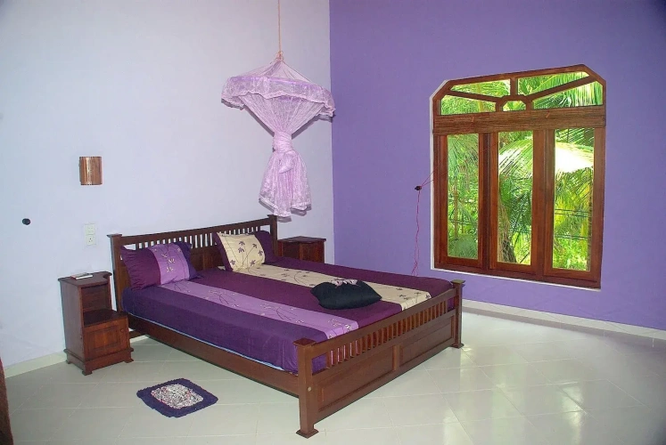 Deluxe Double room with view