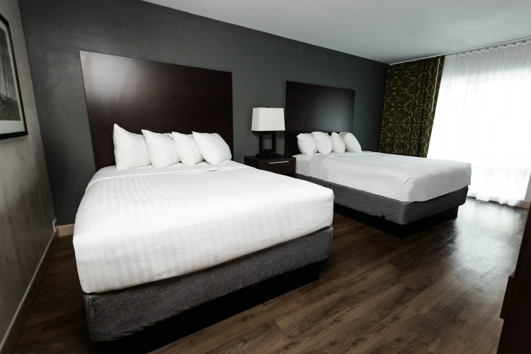 Premium Quadruple room