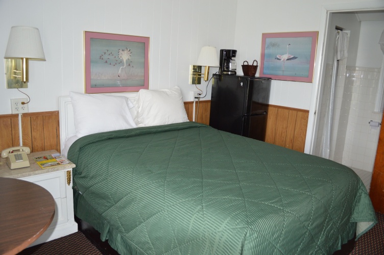 Standard Double room with view