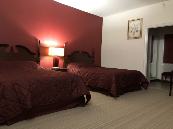 Standard Double room