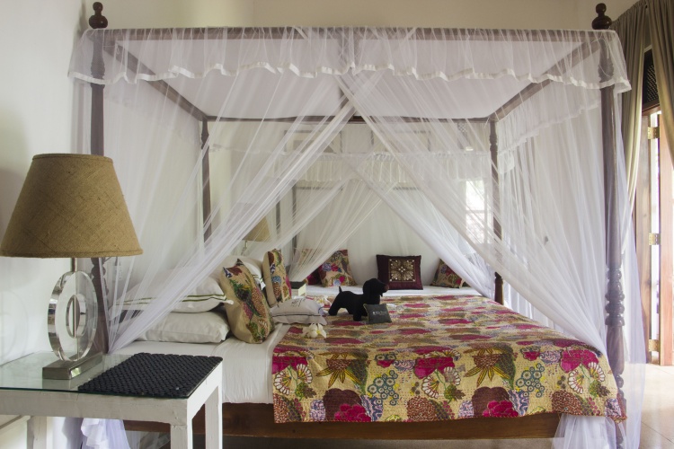 Deluxe Double room with view