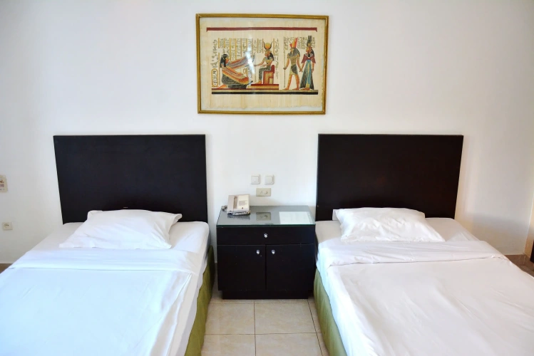 1 Bedroom Studio