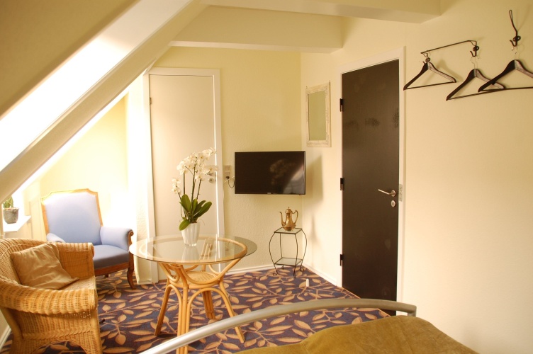 Standard Twin room with balcony and with view