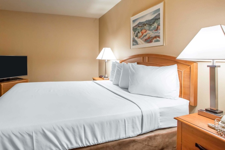 1 Bedroom Deluxe Double Suite