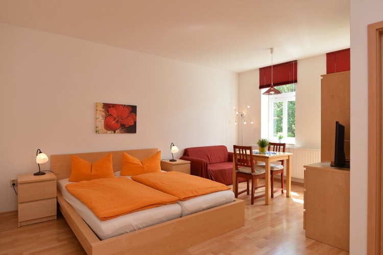 Double Studio with park view