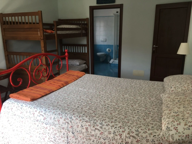 Standard Quadruple room