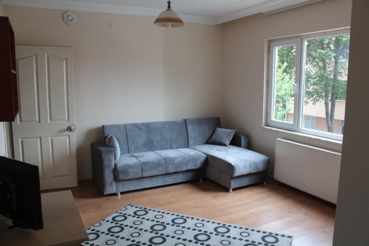 Classic Apartment