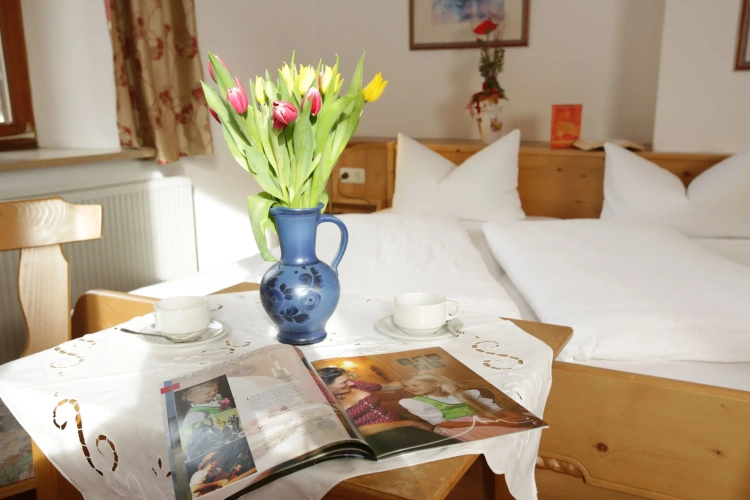 Economy Double room with mountain view