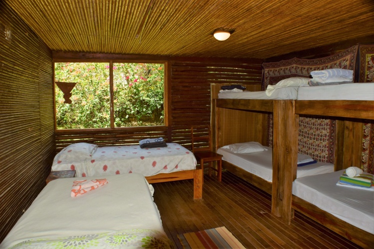 Bed in Dorm