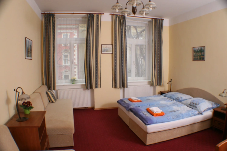 Standard Double room