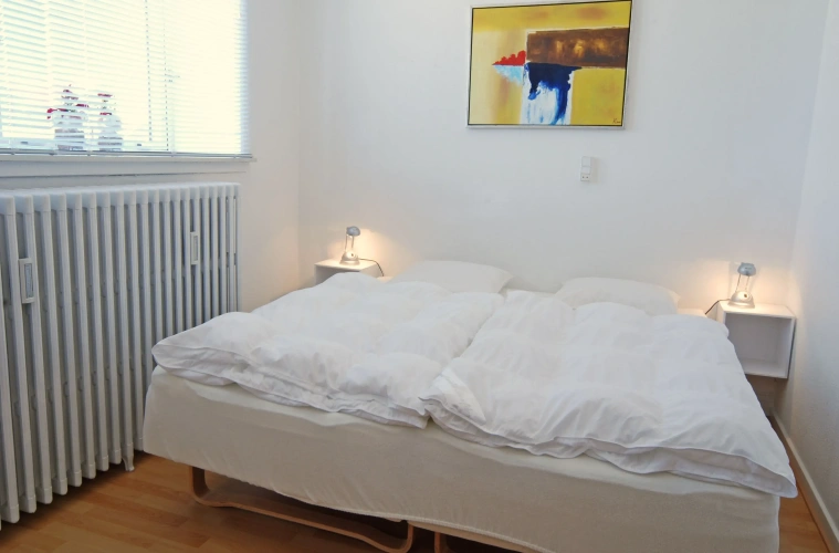 1 Bedroom Standard Apartment