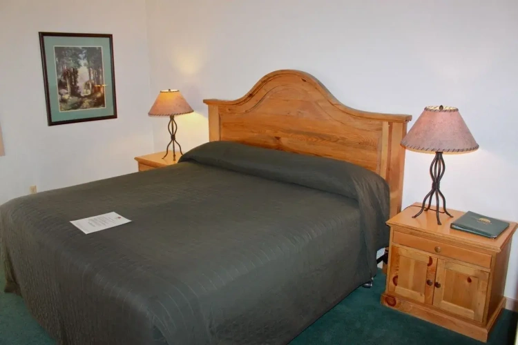 1 Bedroom Standard Double room