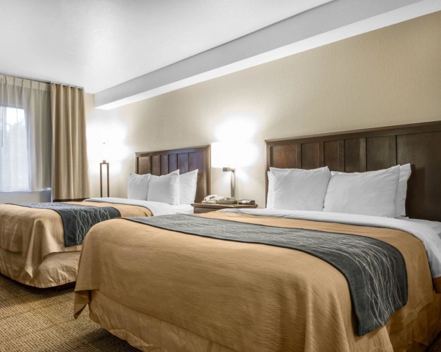 Standard Quadruple room
