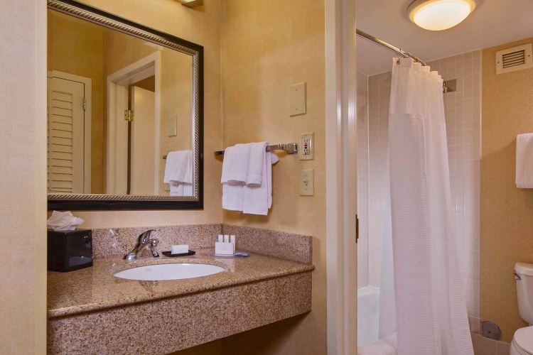 1 Bedroom Suite