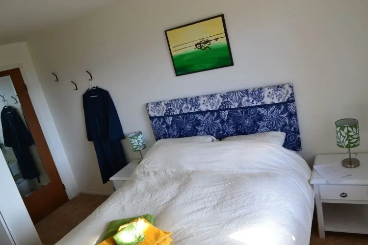 Standard Double room with lake view