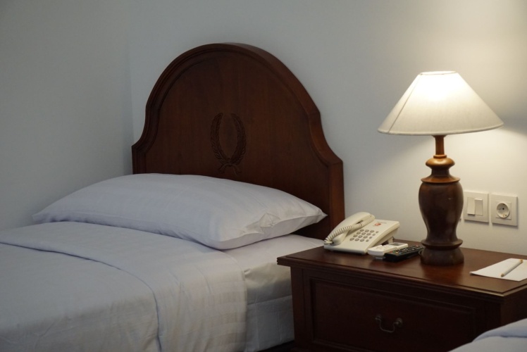 Deluxe Twin room with balcony and with garden view