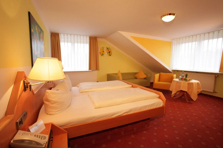 Classic Single room